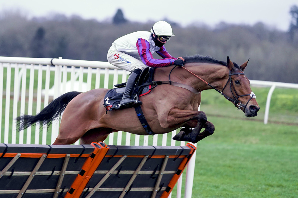 Bravemansgame Paul Nicholls
