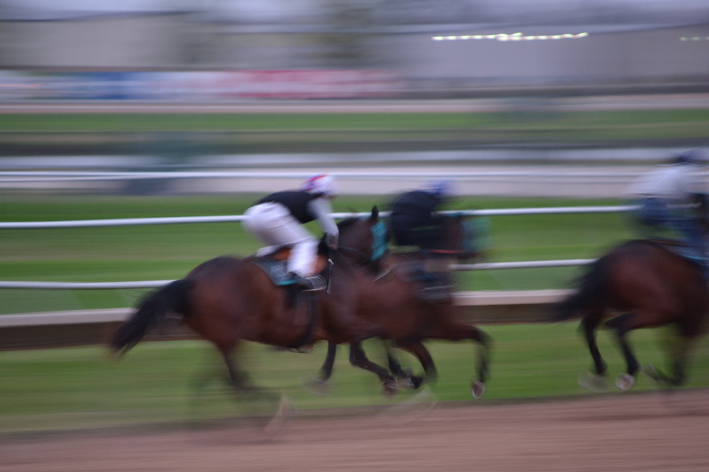 A blur of speed and power on a Thursday morning, Todd Fincher's home-bred Señor Buscador, works at Sam Houston Race Park in preparation for his 2021 debut in the Feb. 13 Risen Star (G2) at the Fair Grounds in New Orleans. His trainer formally announced the decision, as this son of Mineshaft heads out on the Kentucky Derby Trail.