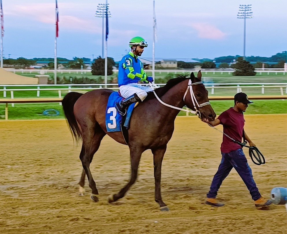 Cool down ... Senor Buscador heads to the winner's circle with Rudy Guerra aboard. His return to the racetrack was a success on Sunday.