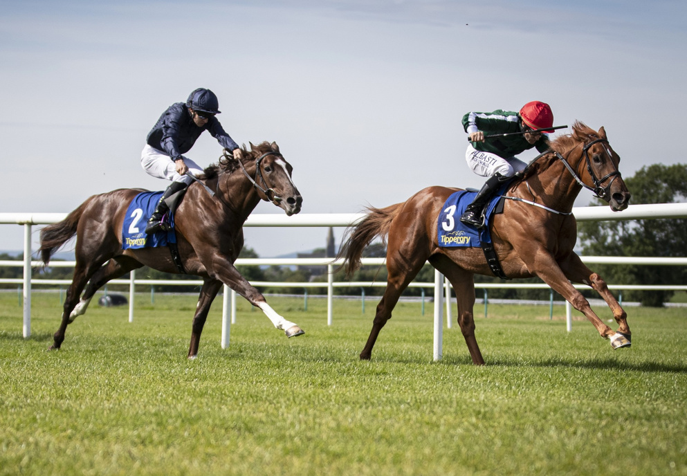 Irish Oaks Tips: Cayenne Pepper (right) is a joint-favourite with Ennistymon at the time of writing.
