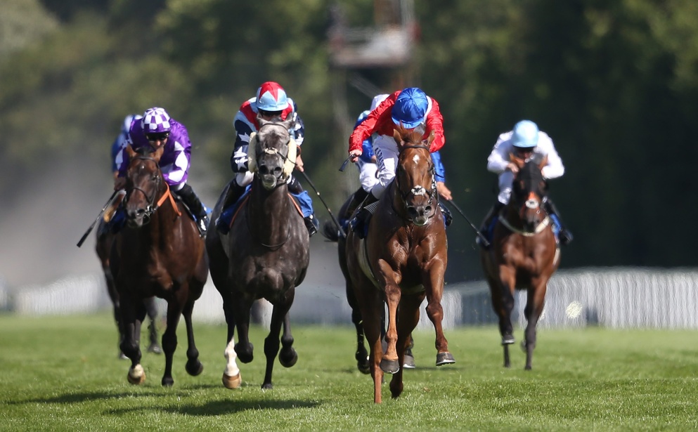 ITV racing tips from Goodwood on Saturday.