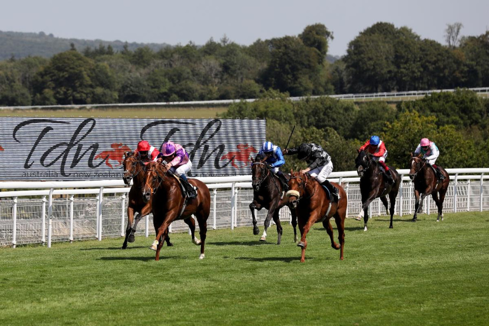 There's racing at Sandown and Leicester on Sunday.