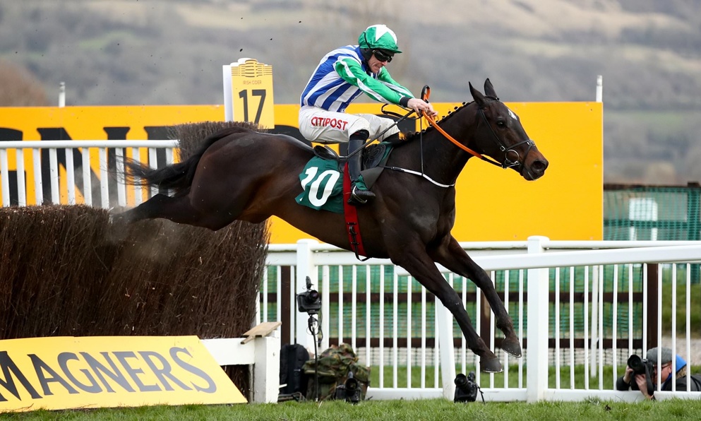 Chosen Mate won the Grand Annual as a novice last season.