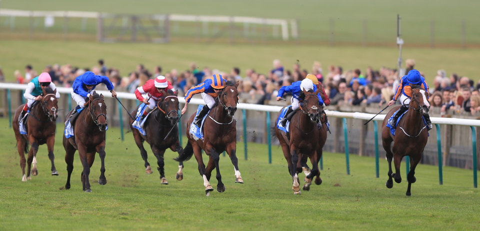 The first two classic races of the season are at Newmarket this weekend.