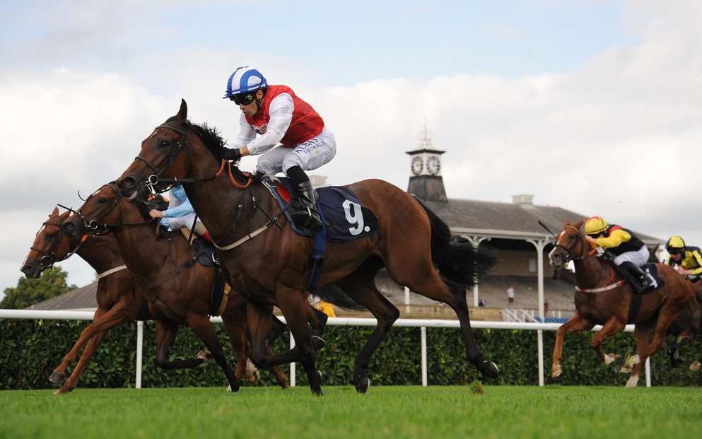 Check out Wednesday's best bets here.