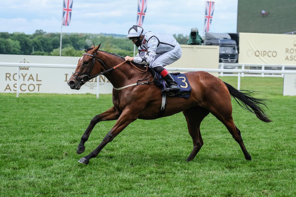 Dandalla stretched her unbeaten start to three with a determined display in the Group 2 Duchess of Cambridge Stakes.