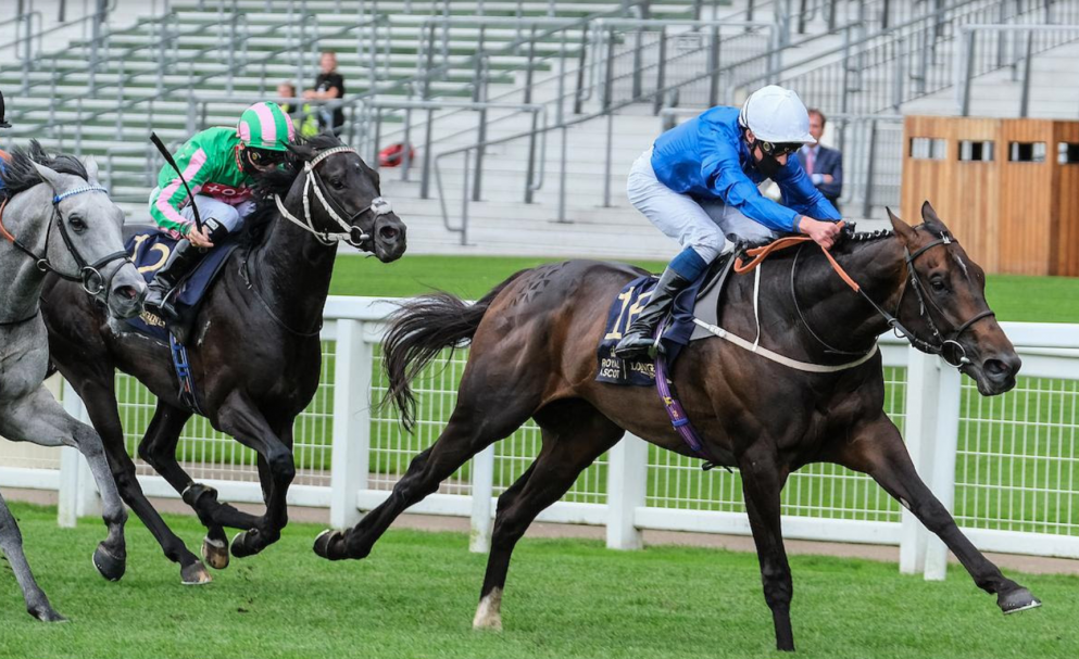Check out our Royal Hunt Cup preview here