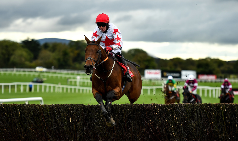 Arkle Challenge Trophy Tips: Could this Irish raider be a thorn in Shishkin's side at huge odds.
