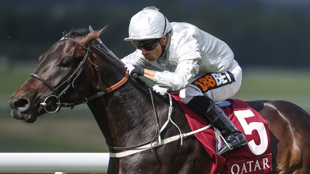 Dee Ex Bee was a regular in top-class staying races last season.