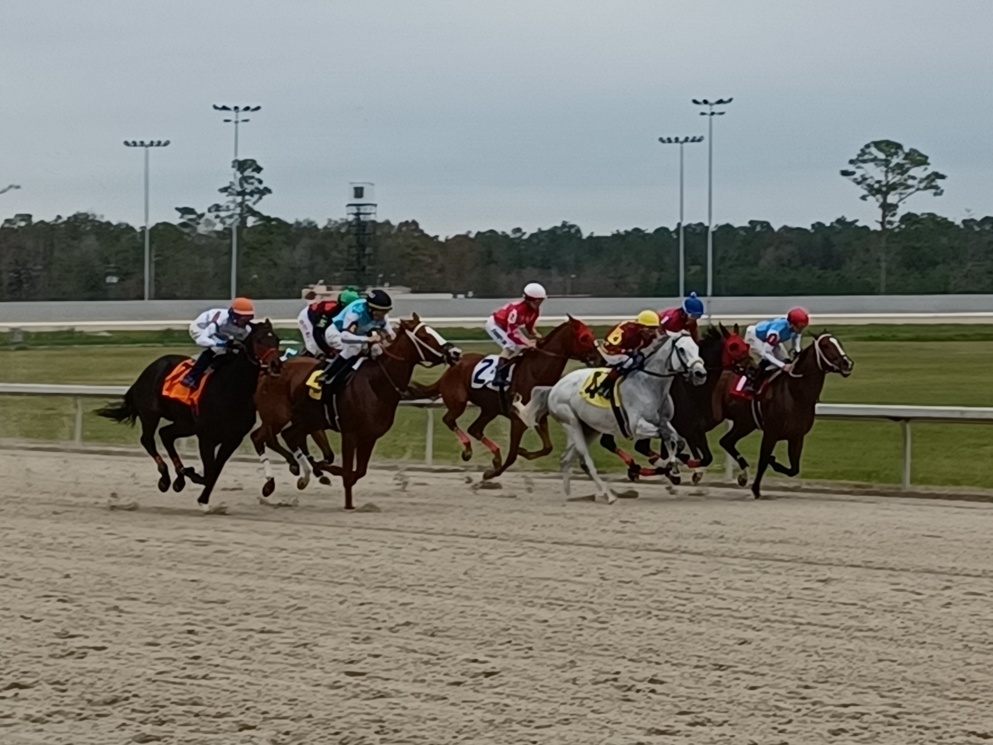 Delta Downs resumes its daily racing routine ... check out these selections below!