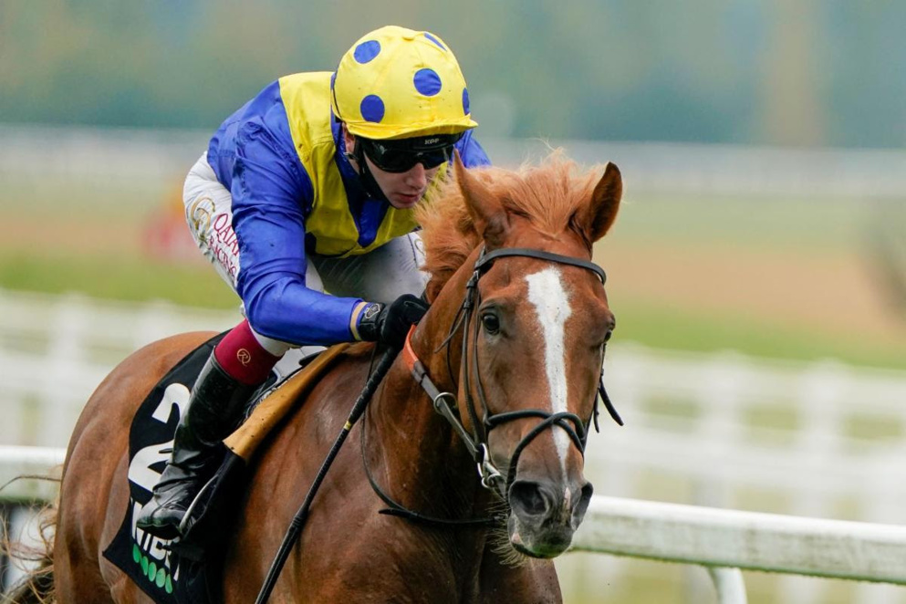 Dream Of Dreams was an impressive winner of last month's Sprint Cup at Haydock.