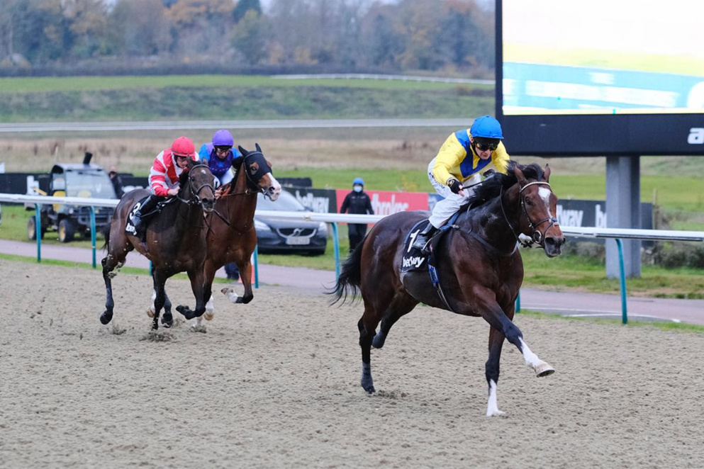 Today S Horse Racing Tips Wednesday 9th December Horseracing Net