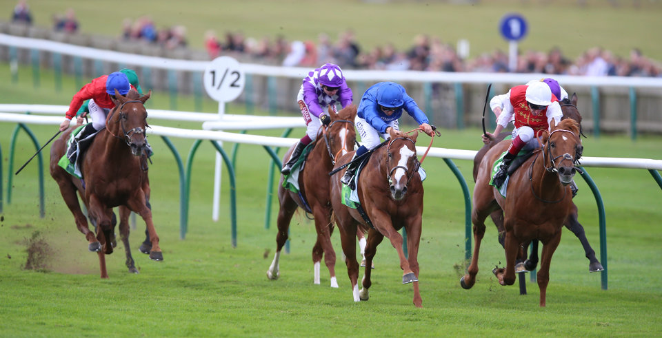 Find horse racing tips for Ascot, Haydock and Newmarket this weekend...