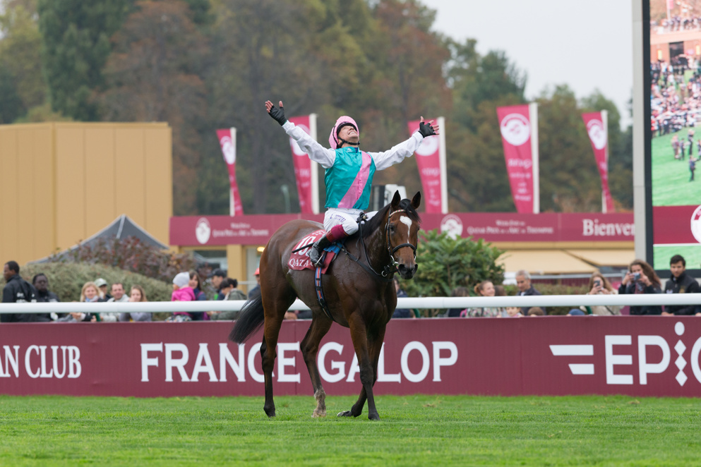 Top 10 Most Popular Horses Of The 21st Century: #6 Enable