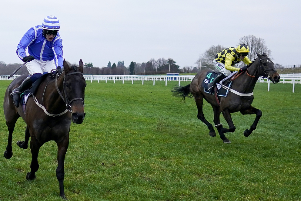 Energumnene And Shishkin Clarence House Ascot