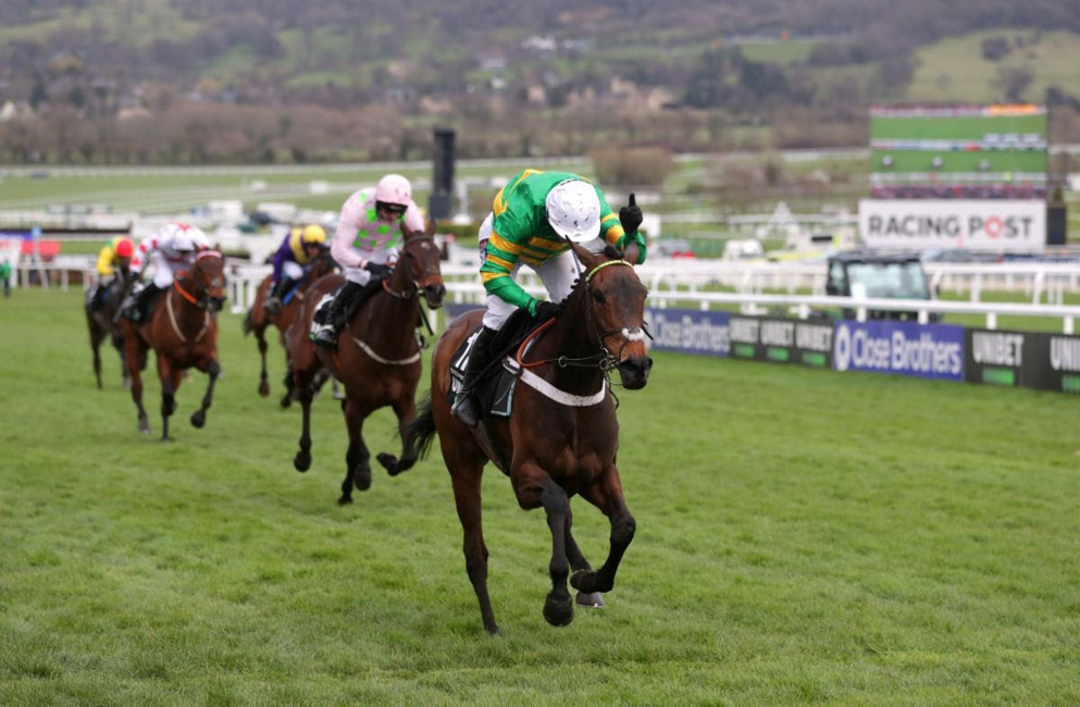Champion Hurdle Runners Guide: Epatante will look to retain her crown on day one of the Cheltenham Festival.