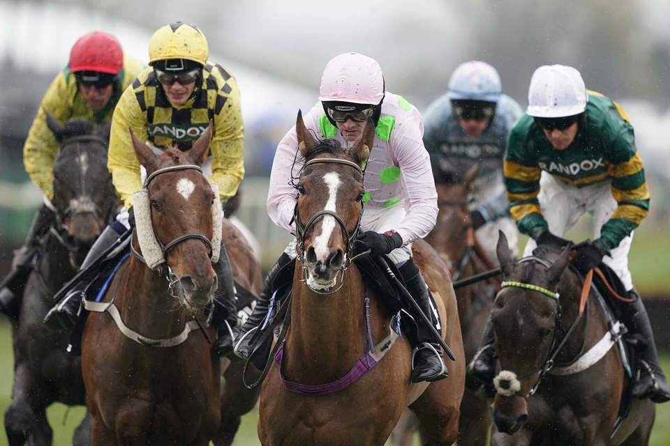 The 11-year-old Faugheen made a winning start over fences at Punchestown on Saturday.