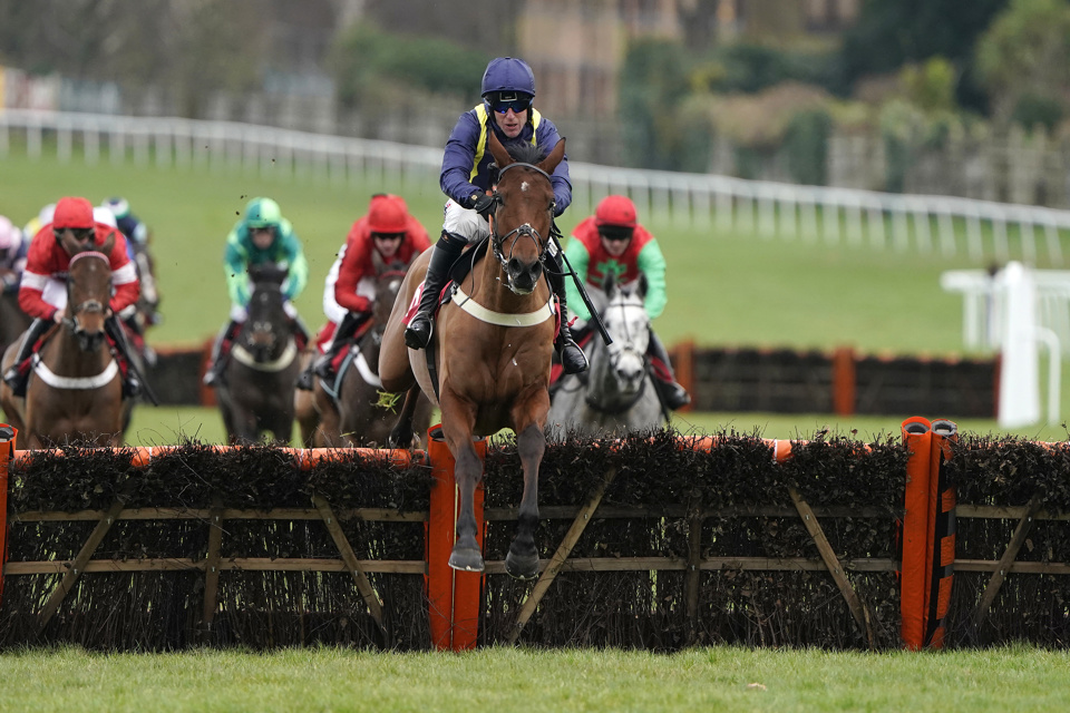 Fiddlerontheroof has a live chance in Tuesday's Grade 1 Supreme Novices' Hurdle.