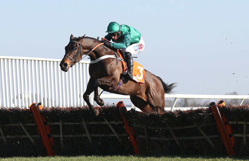 Dan Overall has selected his best bets at the 2022 Cheltenham Festival.