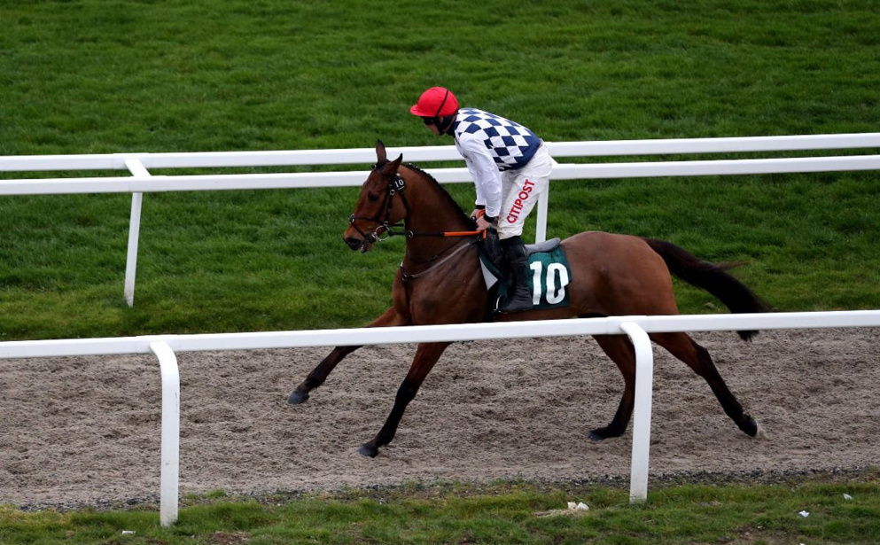 Galvin was a fine winner of the Savills Chase at Leopardstown