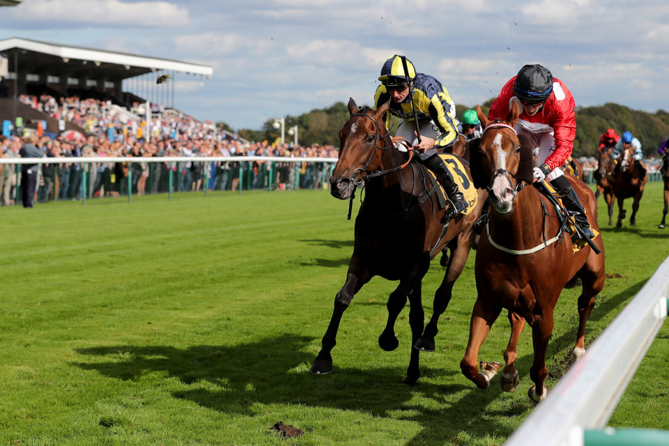 Time To Study was a game winner of last month's Old Borough Cup at Haydock.