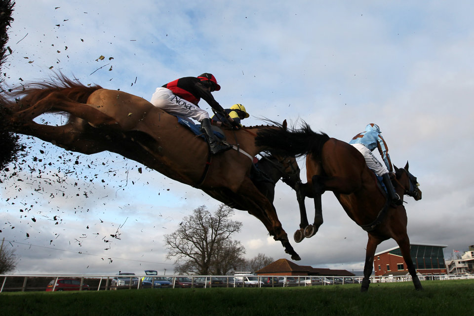 Generic Jumps Race Taunton Grandstand