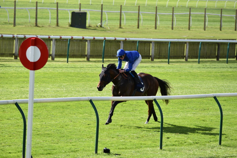 Ghaiyyath has now won each of the Eclipse Stakes, the Coronation Cup and the International Stakes this season.