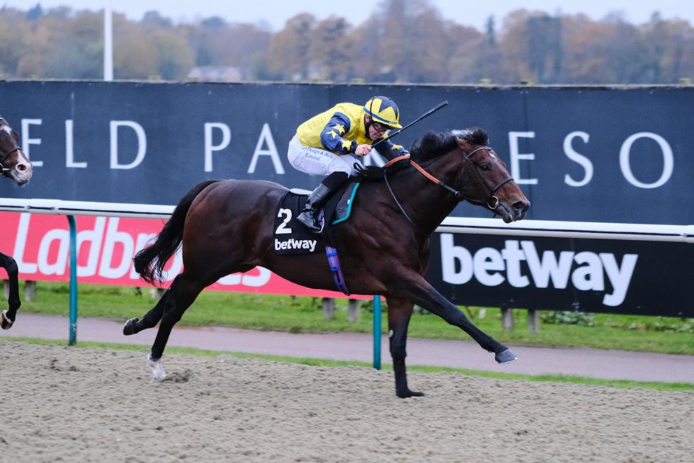 Today's Racing Tips for Lingfield.