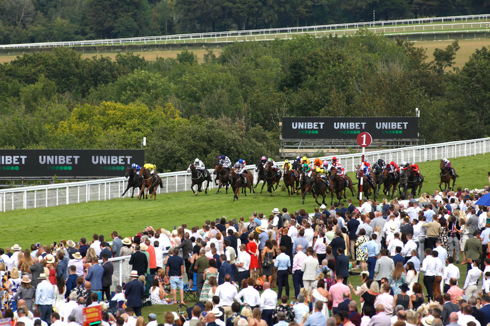 A bumper field will line up for the 2020 Stewards' Cup.