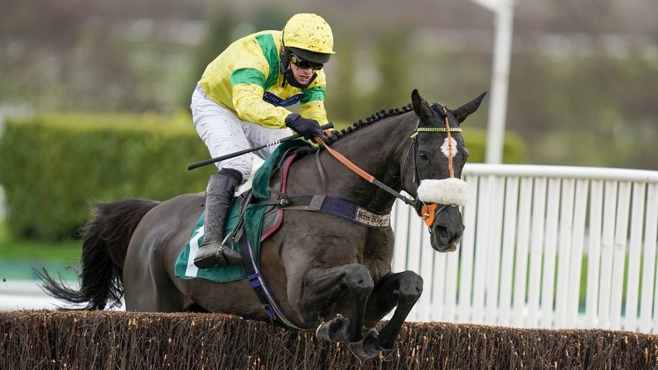 Cheltenham Festival Day 1 Tips: Happygolucky can storm to Ultima glory.