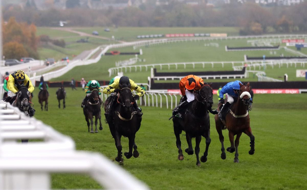 Check out our best bets for Cheltenham on Friday