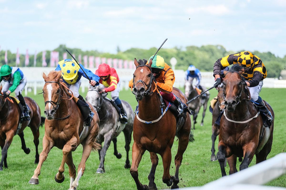 A classy field line up for the Duke Of Cambridge Stakes