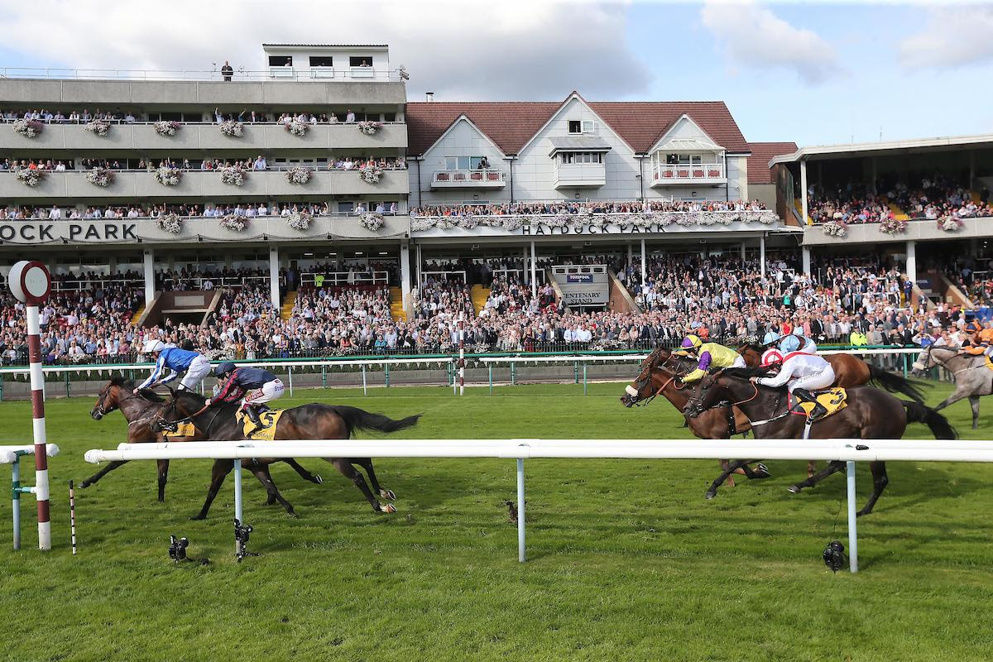 Find horse racing tips for Haydock Park, Newmarket and Market Rasen this weekend.