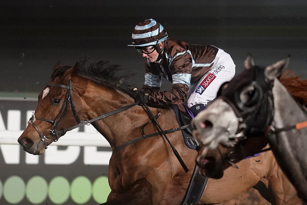 Hollie Doyle became just the third female jockey to ride over 100 British winners in a calendar year in 2019.