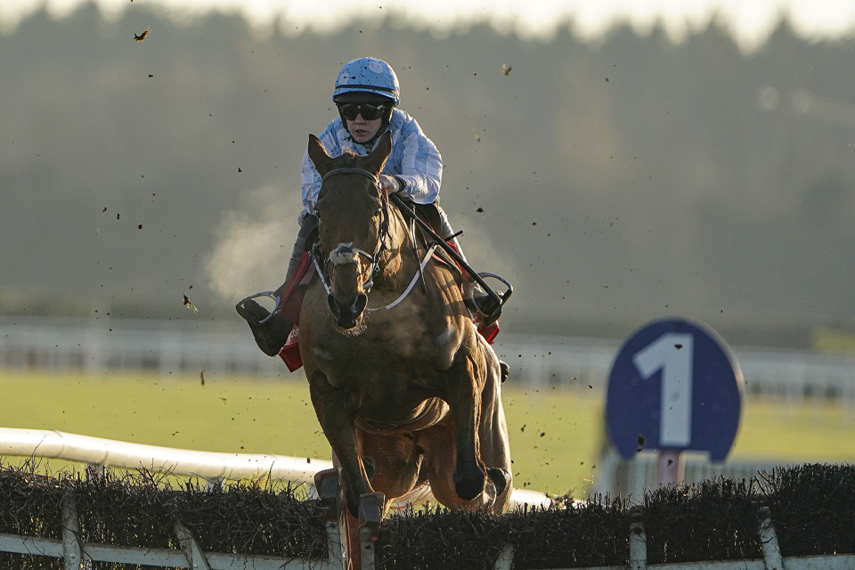 Champion Hurdle Tips: Unbeaten Honeysuckle is fancied to land Cheltenham glory.