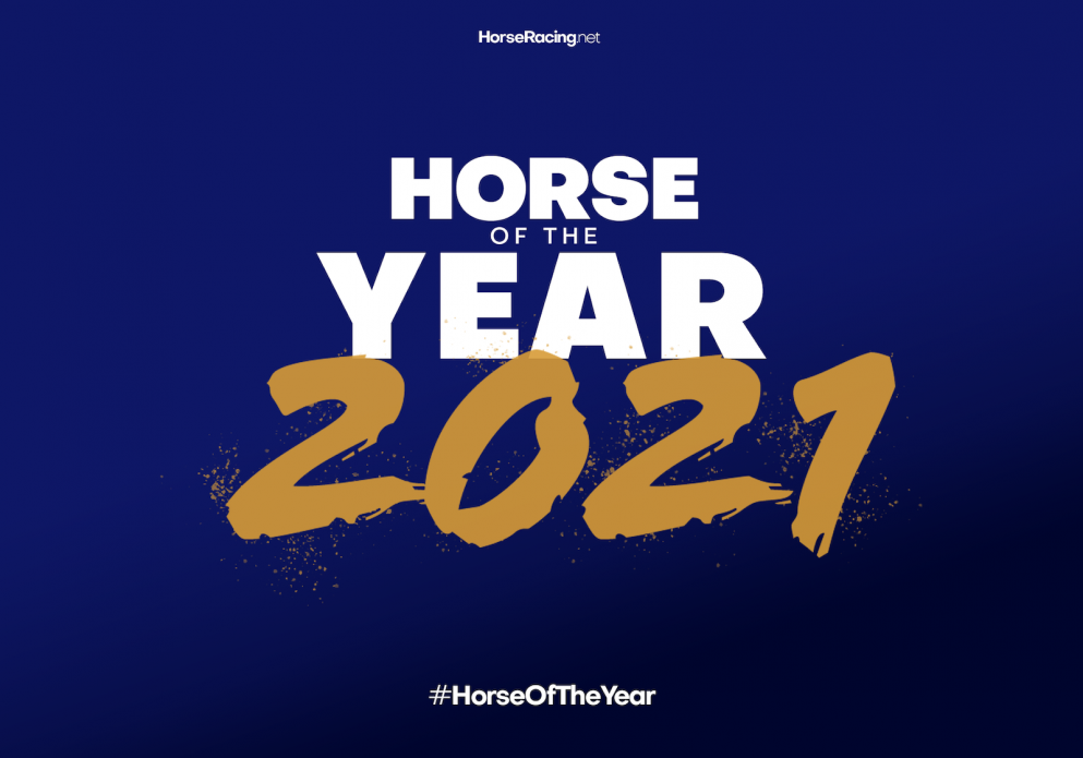 Horse Of The Year Banner