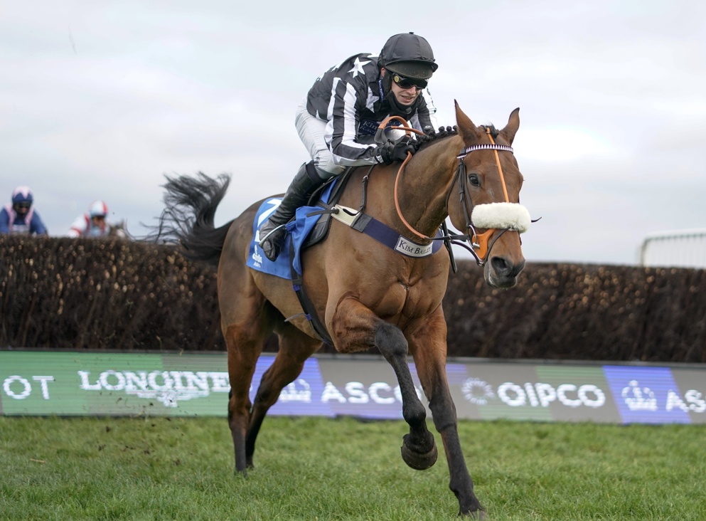 Silviniaco Conti Chase Tips: Imperial Aura is unbeaten this season and is a warm order for Saturday's contest.