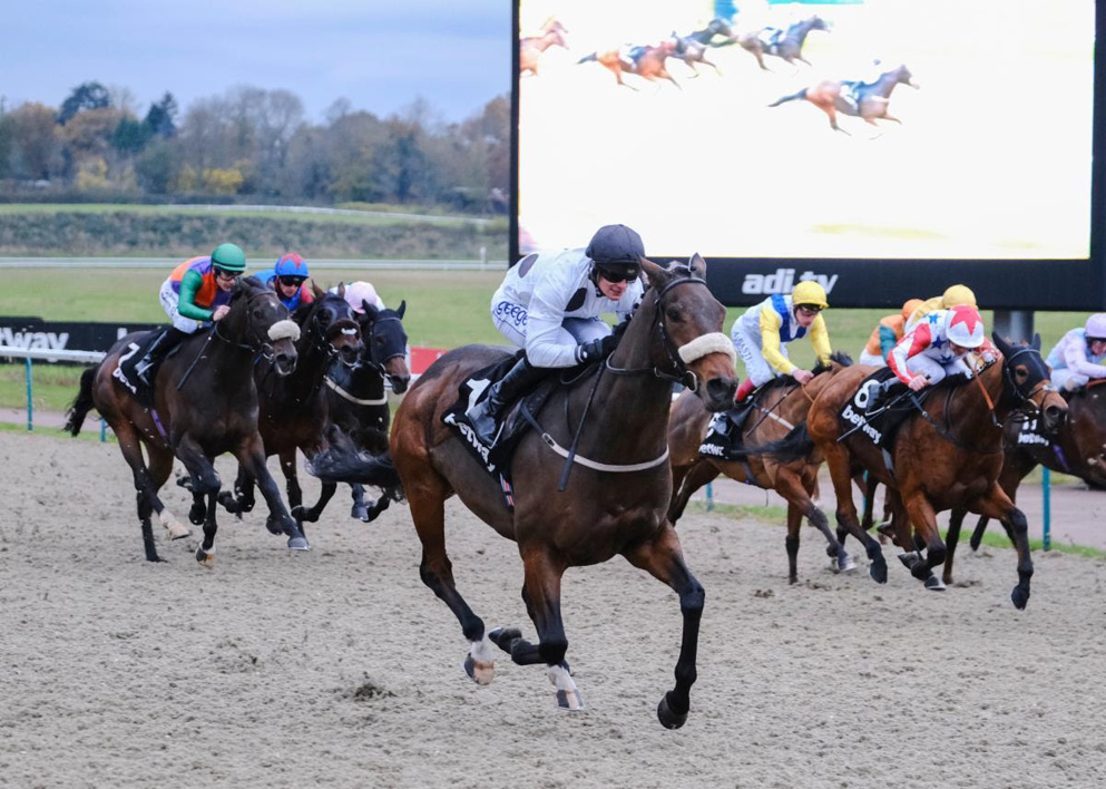 Today's racing tips for Lingfield.