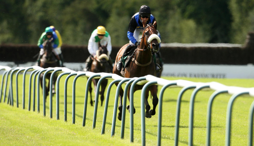 Today's racing tips come from Perth, Ludlow, Catterick, Salisbury, Lingfield and Bellewstown