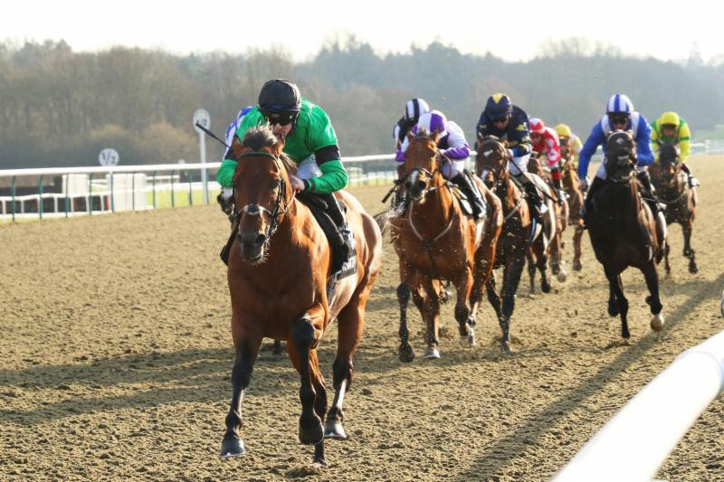 Today's Horse Racing Tips for Lingfield.