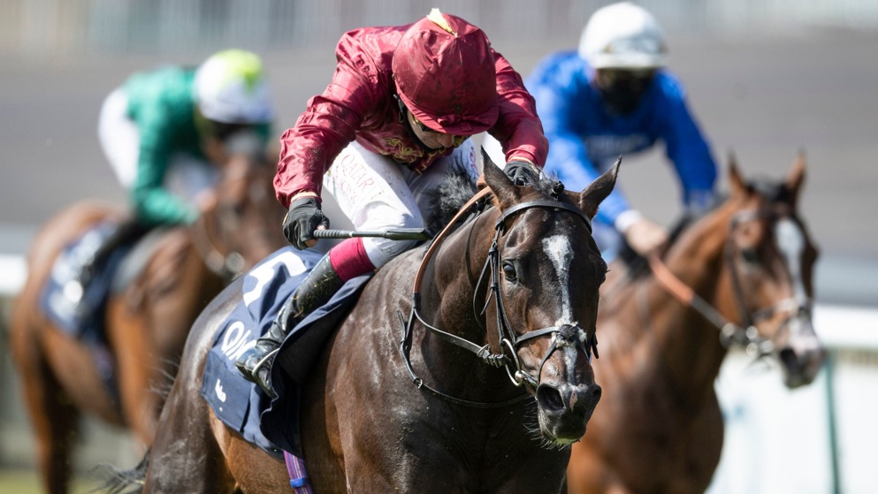 Kameko was an impressive winner of last month's 2000 Guineas at Newmarket.