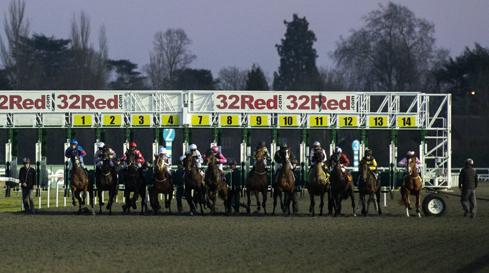 september stakes odds setpember stakes tips horseracing net