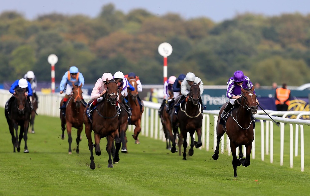 Kew Gardens won the 2018 St Leger at Doncaster.