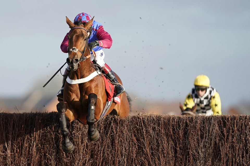 La Bague Au Roi looks set to start favourite for Sunday's Peterborough Chase at Huntingdon.