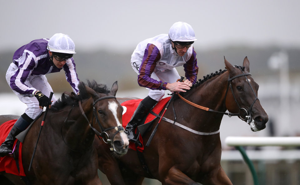 Read our Sun Chariot Stakes preview here.