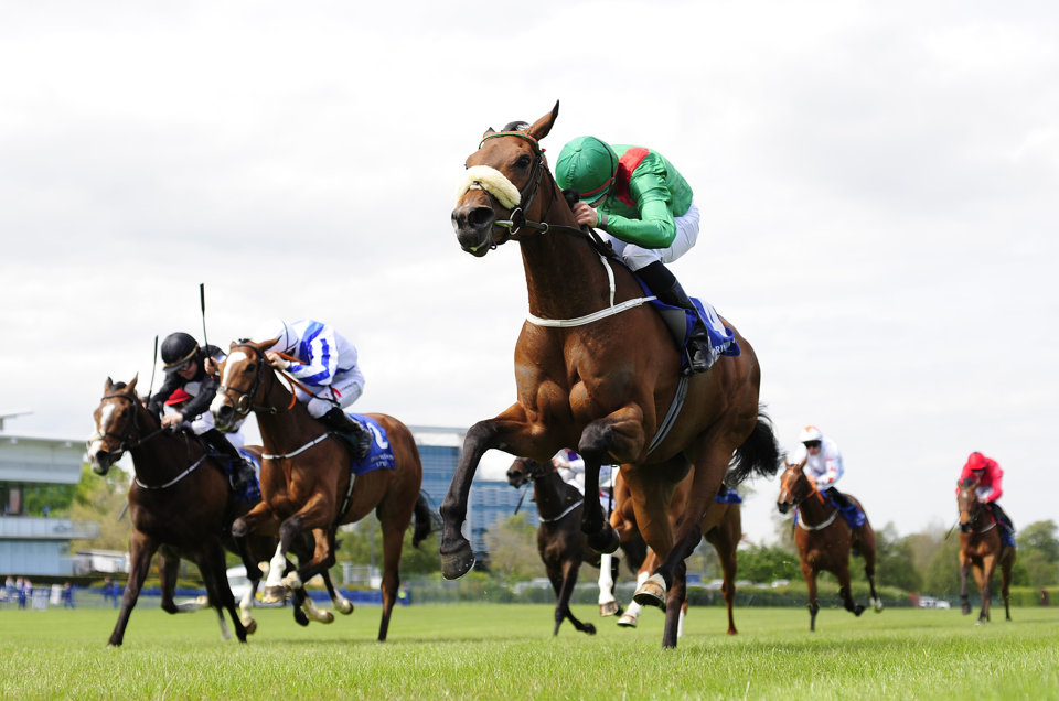 Find horse racing tips for Doncaster, Leopardstown and the Curragh this weekend...
