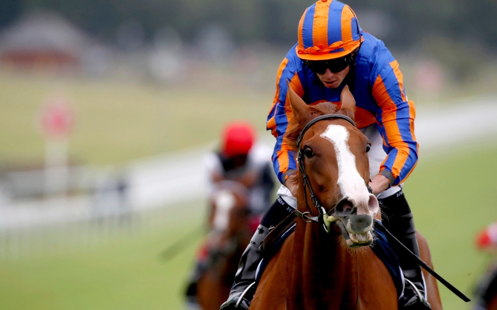 Today's Horse Racing Tips: Chris Baker has two bets at York on Wednesday.