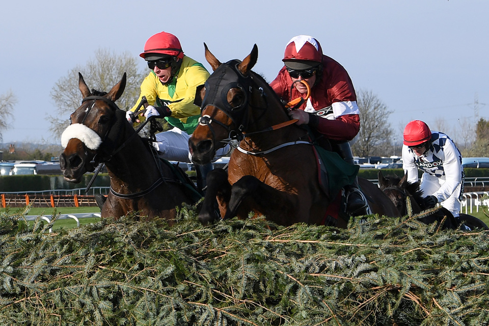 Former Grand National runner-up Magic Of Light (left) will run at Ascot on Saturday.