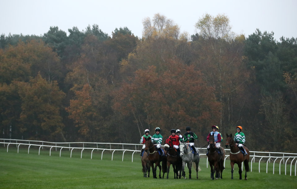 Check out Raceolly's best bets for Saturday's racing