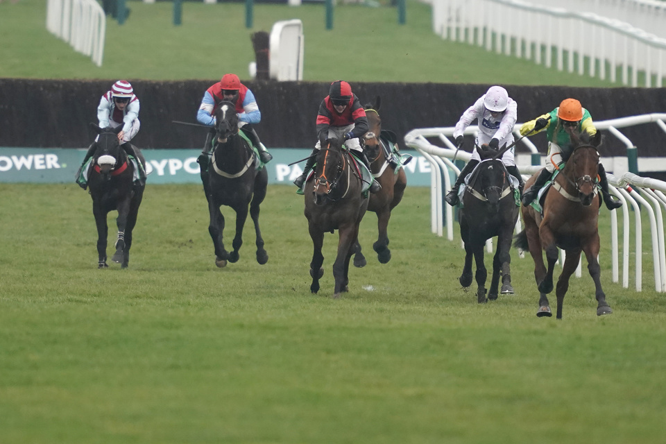 Midnight Shadow Dipper Novices Chase Cheltenham Run In Hill